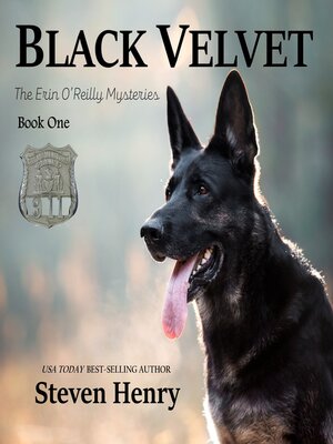 cover image of Black Velvet